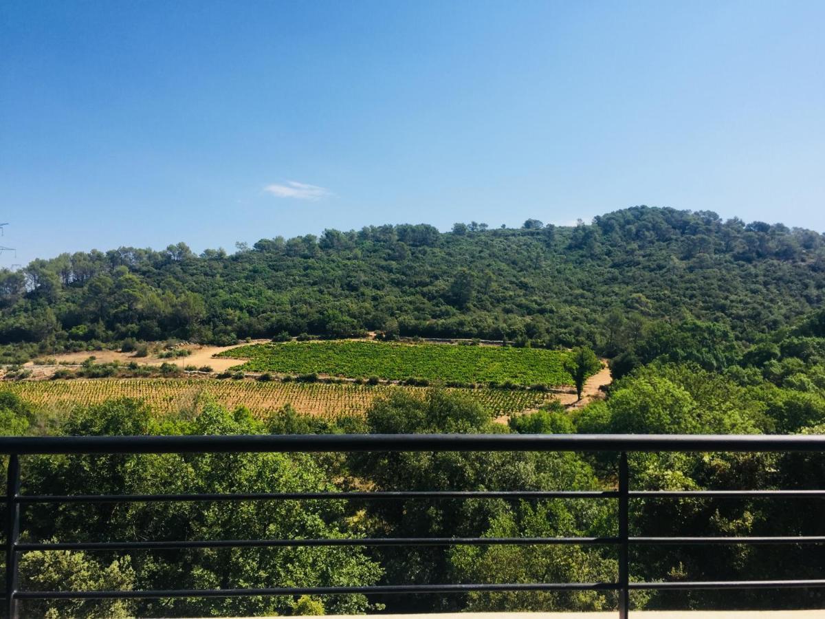 Gite Climatise Contemporain En Provence Verte Flassans-sur-Issole Bagian luar foto